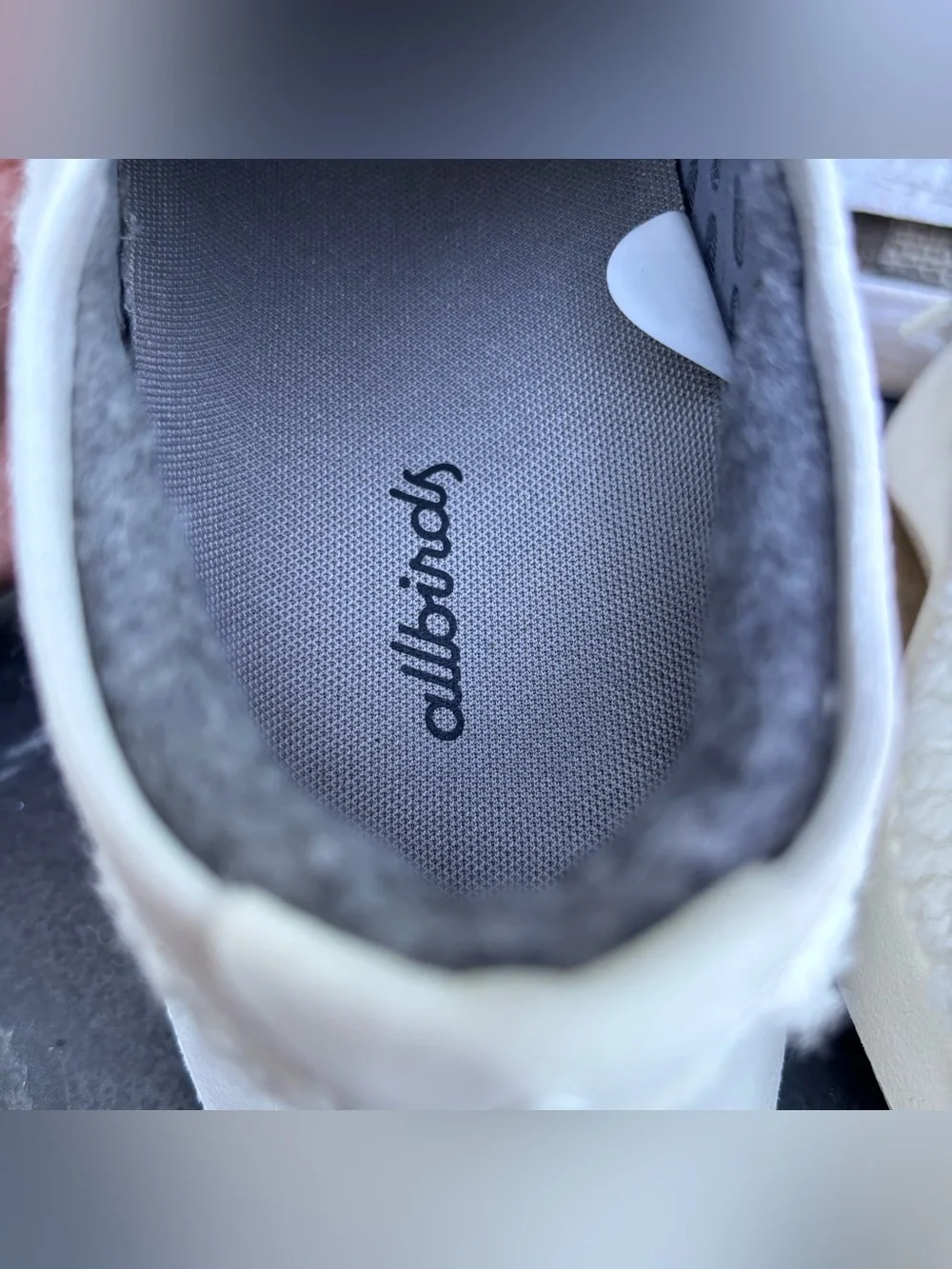 Allbirds Wool Dasher Fluff Sneakers